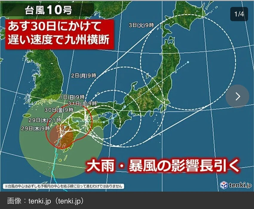 画像239
